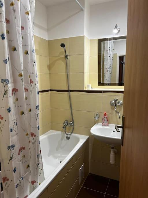 Apartment Rodinny Nedaleko Centra Banska Bystrica