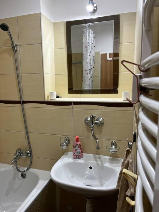 Rodinny Nedaleko Centra Banska Bystrica